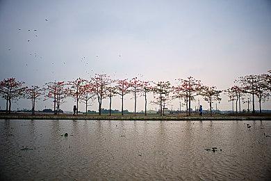 F社首款 《装甲核心6》支持拍照模式